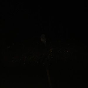 Meet your Posher, Kris